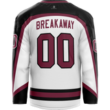 Delaware Ducks Adult Player Hybrid Jersey