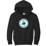 Lab Vikings Youth Core Fleece Pullover Hooded Sweatshirt